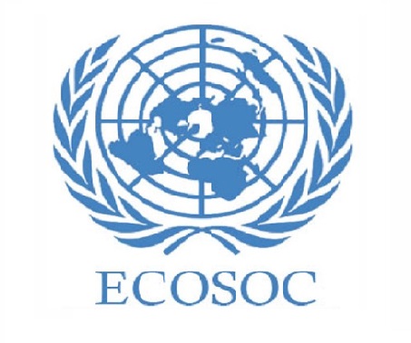 The Economic and Social Council (ECOSOC)